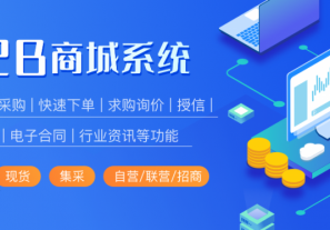 購(gòu)買批發(fā)商城源碼系統(tǒng)費(fèi)用是多少?